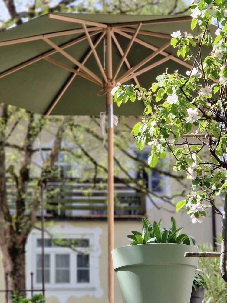 Blick vom Garten auf das Haus