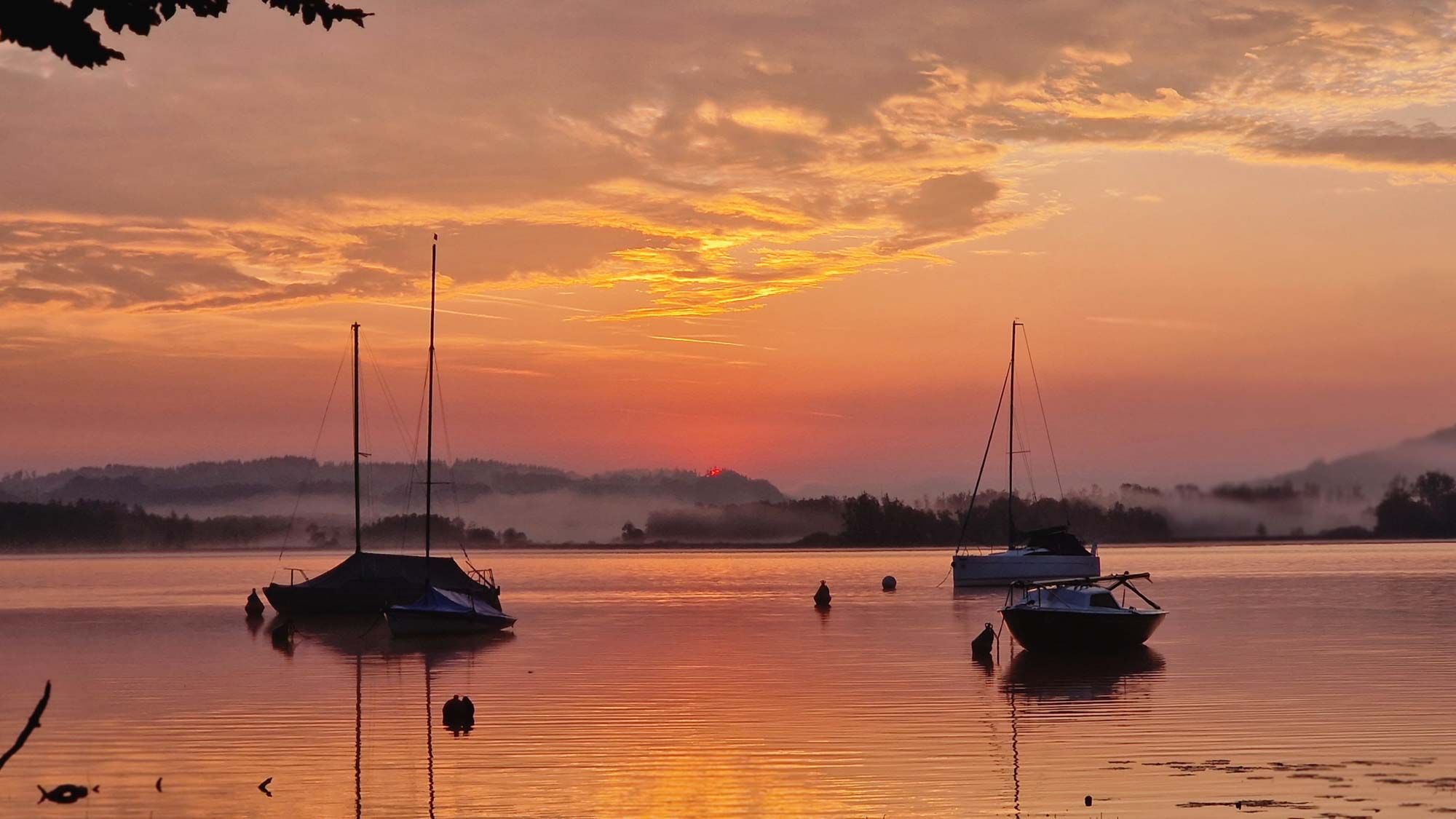 Simssee Boote